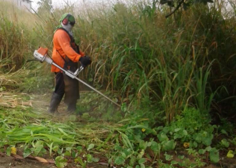 Limpeza urbana é feito em diversos pontos da cidade.